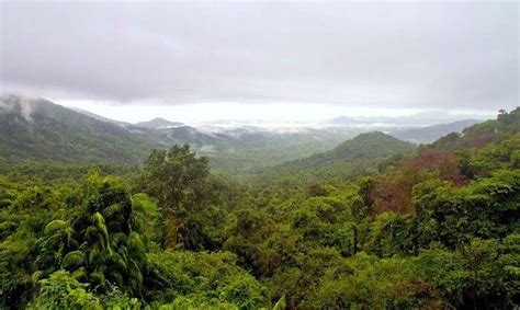 Visit 6 Incredible Rain Forests In India For An Epic Adventure In 2023