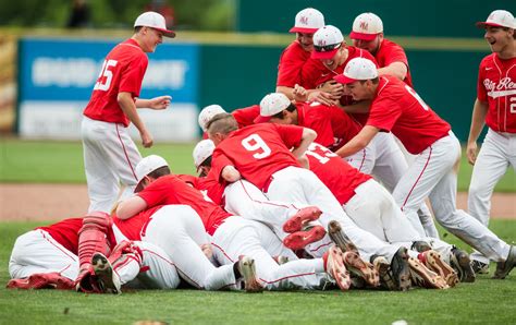 Greenwood's shot at baseball program's first PIAA title falls inches short - pennlive.com