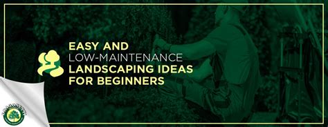 For a beautifully manicured yard, choose flowers that grow well in your garden zone and have bright colors. Easy and Low Maintenance Landscaping Ideas for Beginners ...