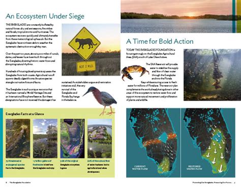 Everglades Foundation Brochure Libra Communication