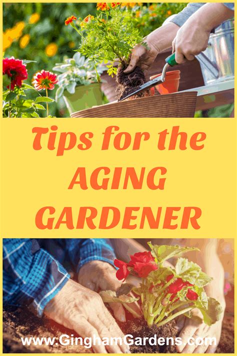 What is a vantage point in an essay. Tips for the Aging Gardener - Gingham Gardens | Benefits ...