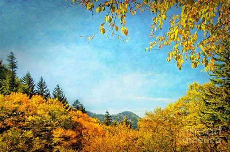 Autumn Mountain Beauty Photograph By Cheryl Davis Fine Art America
