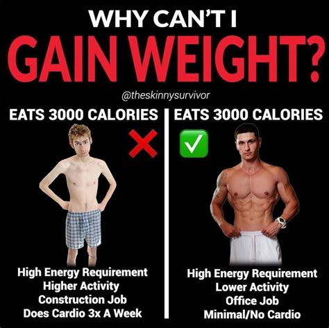 list of weight gaining diet for skinny guys references junhobutt