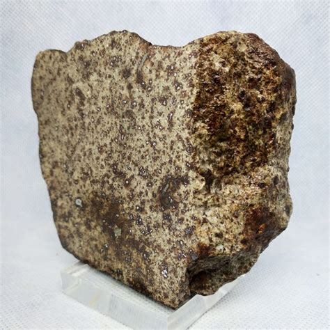 Chondrite Meteorite Nwa Northwest Africa Final Cut Xl Catawiki