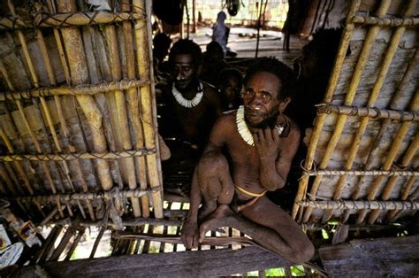 The Tree Houses Of The Korowai Tribe Of New Guinea Knowledge Updates