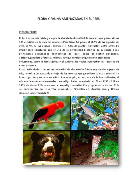 Flora Y Fauna Amenazadas En El Peru Pdf Perú Selva