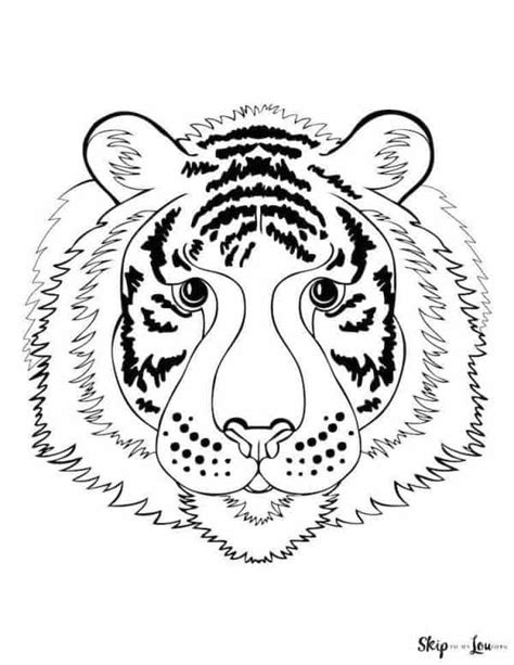 Tiger Coloring Page Skip To My Lou Coloring Home