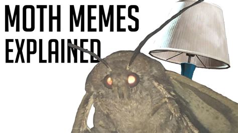 Moth Memes Explained Youtube