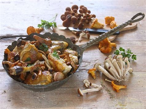 Versatili e tipicamente autunnali, i funghi sono un ingrediente perfetto per squisite ricette a ...