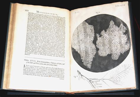 Hookes Books Books By Robert Hooke