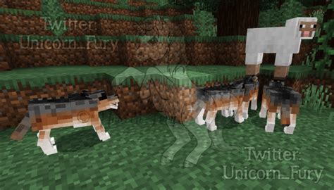 We did not find results for: Cuter Vanilla Wolves Addon/Mod Minecraft PE 1.13.1, 1.12.1 ...