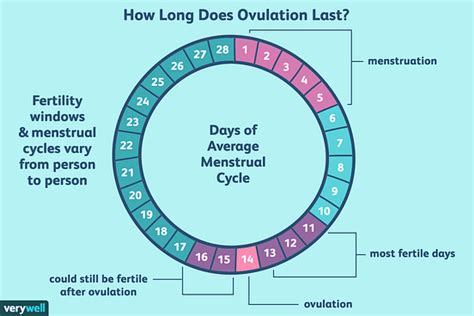 How To Follow The Fertility Awareness Method For Birth Control By