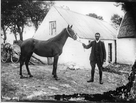 Shorpy Historic Picture Archive Farmer With Horse 1800s High
