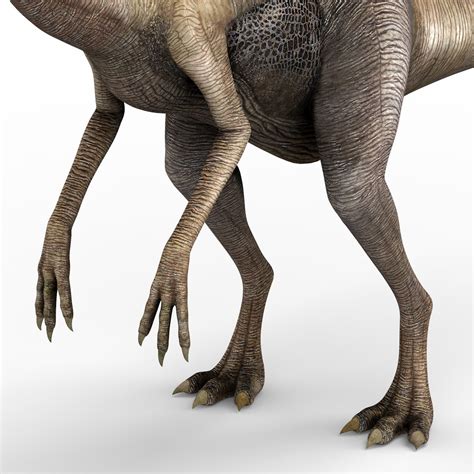 Gallimimus Dinosaur 3d Model By Cgsea