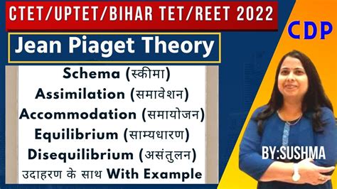 Piaget Schema Assimilation Accommodation Equilibrium Disequilibrium