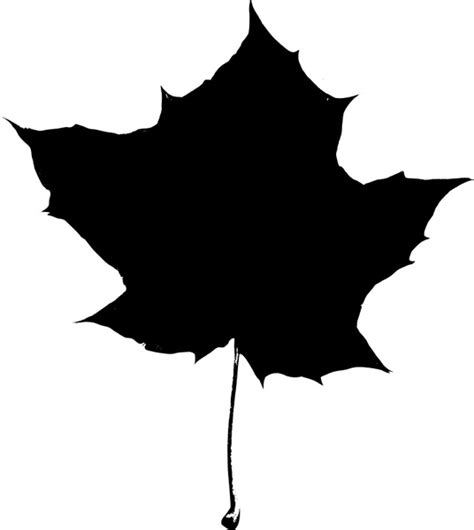 Maybe you would like to learn more about one of these? Maple leaf silhouette Free vector in Open office drawing ...