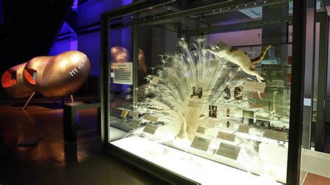 Top 10 Best Science Museums In London Museum