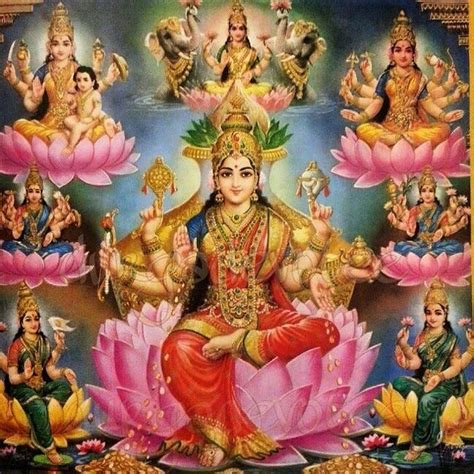 Ashta Lakshmi — 8 Divine Forms Of Goddess Lakshmi By Nayra Medium