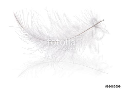 Curved Feather Drawing At Explore Collection Of