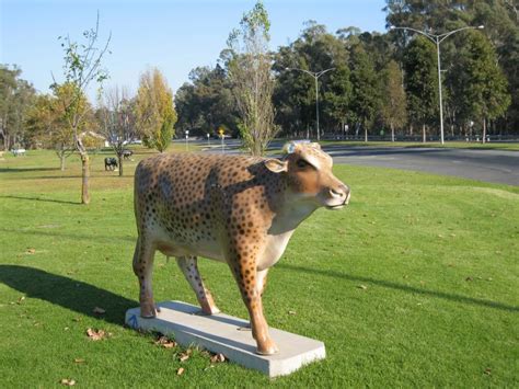 He is the first victorian country hour presenter to be based outside. Shepparton photos - Travel Victoria: accommodation ...