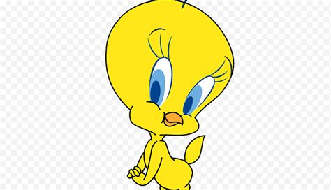 Pin By Pato Em On Dibujos De Piolin Tweety Bird Drawi