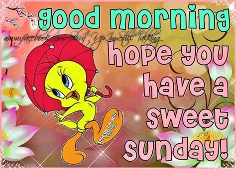 Good Morning Have A Sweet Sunday Tweety Quote Pictures Photos And
