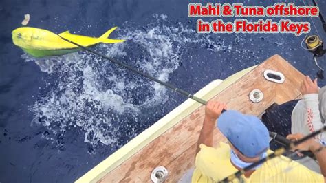 Deep Sea Fishing For Dolphin Mahi Mahi And Blackfin Tuna In Islamorada