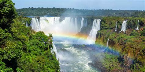 Iguazu Falls Wildlife Location In Argentina Latin America Wildlife