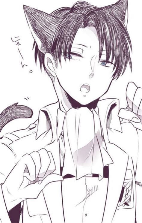 Neko Levi Aot Attack On Titan Levi Levi Ackerman Attack On Titan