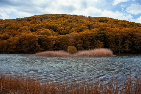 Wallpaper River Trees Autumn Grass Hd Widescreen High Definition