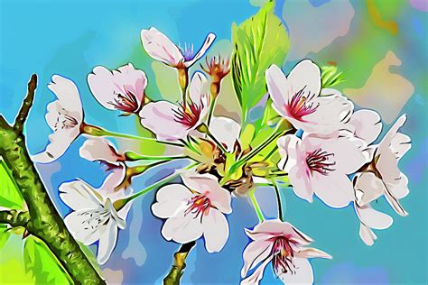 Sakura Cherry Flower Blossom Digital Art By Ankor Light