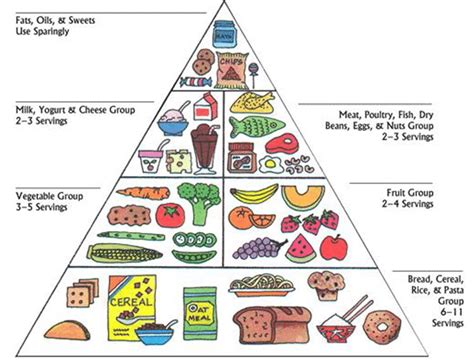Food Pyramid Food Groups