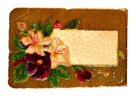Antique Images Printable Blank Flower Digital Label Design