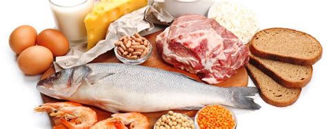 Los 10 Alimentos Más Ricos En Proteínas Alimentos Proteicos
