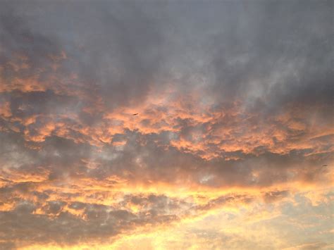 무료 이미지 수평선 구름 태양 해돋이 일몰 햇빛 새벽 분위기 황혼 저녁 적운 잔광 기상 현상 아침에