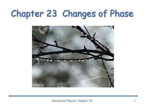 Ppt Chapter 23 Changes Of Phase Powerpoint Presentation Free