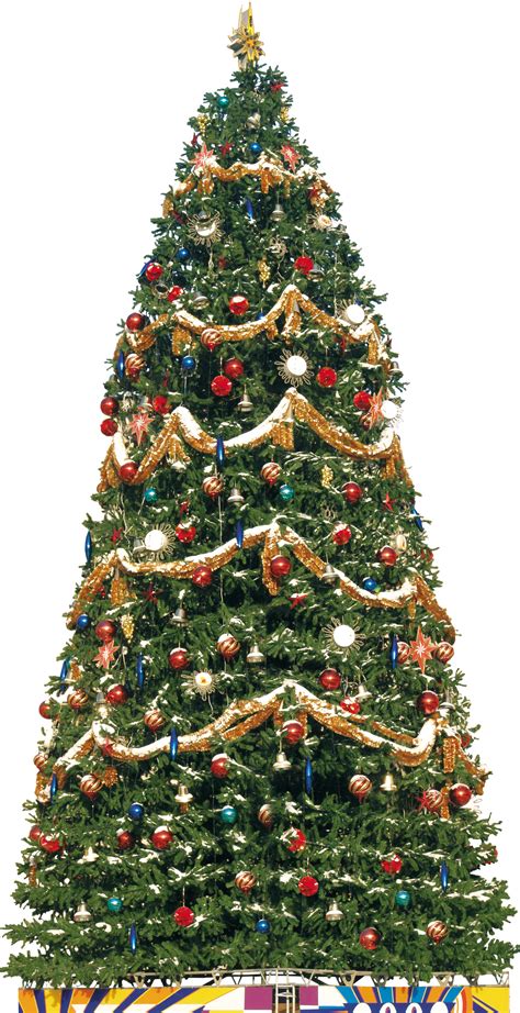 Big Traditional Christmas Tree Png Image Purepng Free Transparent