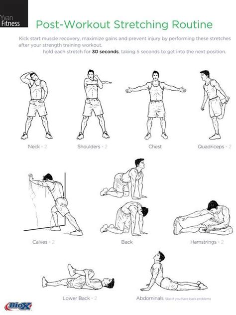 Bilderesultat For Yoga For Hiking Post Workout Stretches After