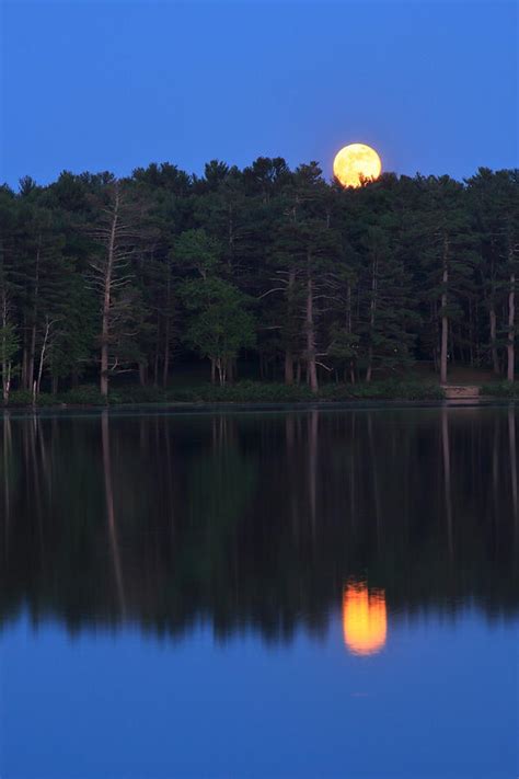 Moonrise Over Lake Photograph By John Burk Pixels