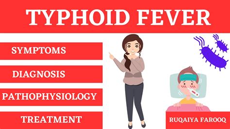 Typhoid Fever Symptoms Causes Diagnosis Pathophysiology And