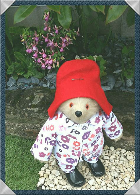 Paddington In The Garden In His Pyjamas Paddington Bear