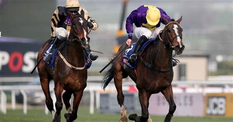 Lord Windermere Begins The Long Road Back To Cheltenham The Irish Times