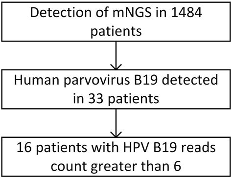 Frontiers Human Parvovirus B19 Infection In Hospitalized Patients
