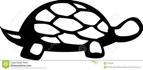 Land Or Sea Turtle Vector Illustration Stock Photography