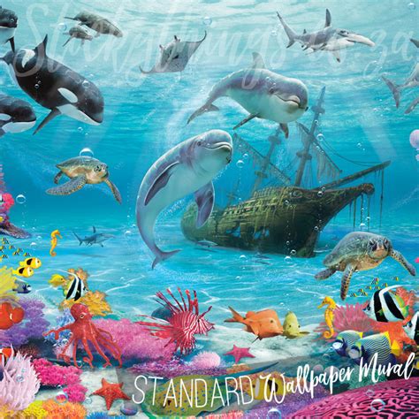 Dolphin Wall Art Mural Under The Sea Adventure Mural