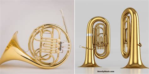 French Horn Vs Tuba Detailed Comparison