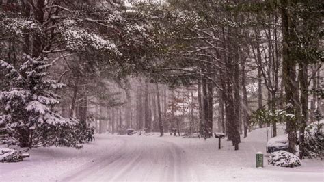 16 Times Snow Transformed New Jersey Into The Most Beautiful Scenery