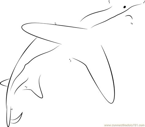 Where we have a couple little bonnet head sharks and a little nurse shark, in here. Pelagic Thresher Shark in Pacific Oceans dot to dot ...