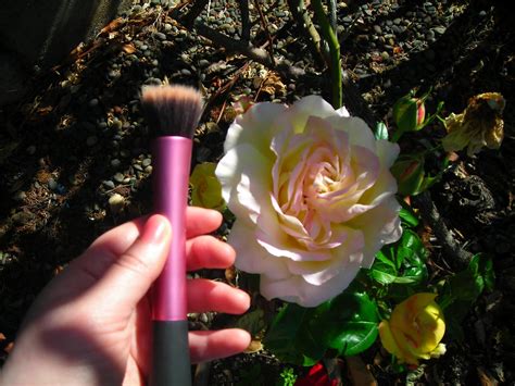 Beauty Diversion My Favorite Brushes And Summer Flowers