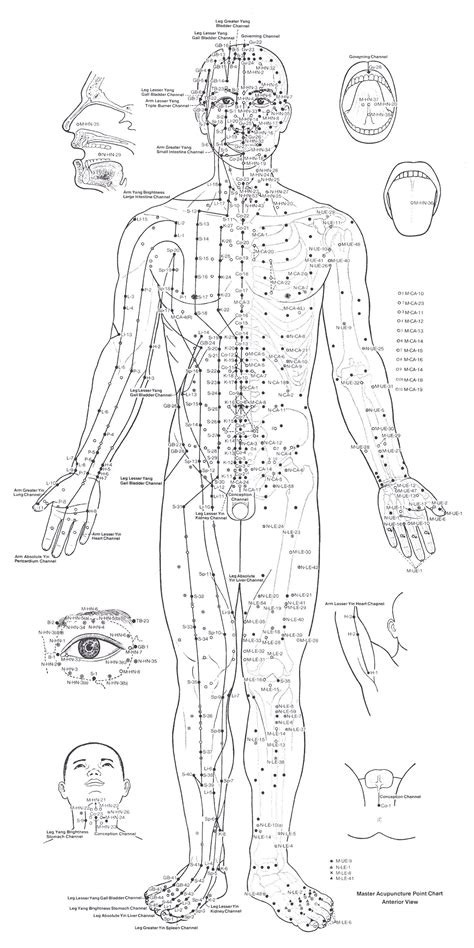 Full Body Acupressure Points Chart